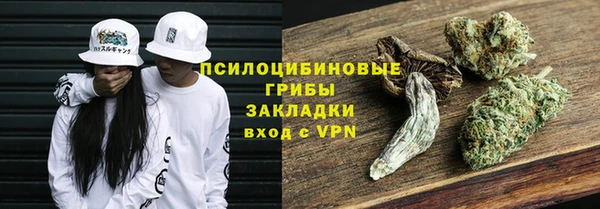 бошки Алексин
