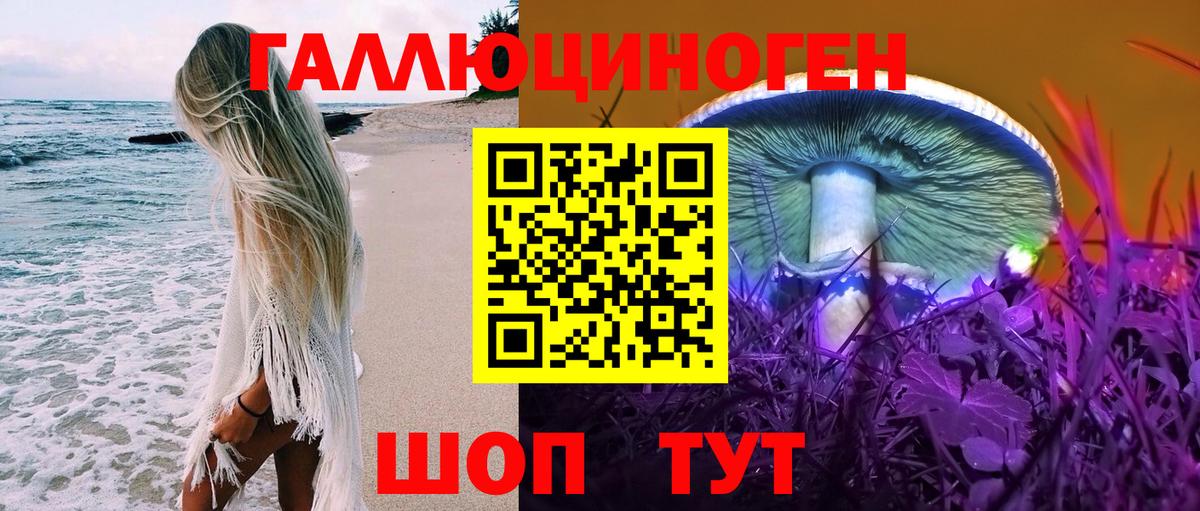 Псилоцибиновые грибы мицелий  Галлюциногенные грибы мицелий  Вход с VPN  Алексин 
